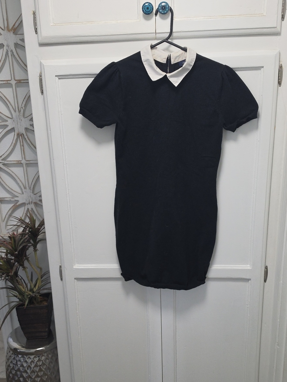 Forever 21 Black Mini Dress with White Peter Pan Collar